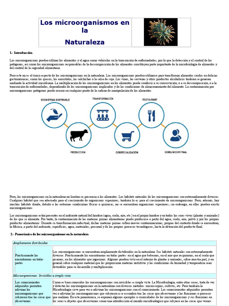 Funciones de los Microorganismos en la Naturaleza | PDF ...