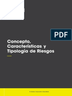 Concepto, Características y Tipología de Riesgos