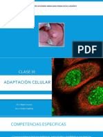 Clase 3. Adaptación Celular