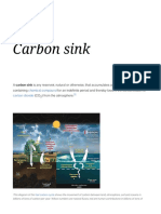 Carbon Sink - Wikipedia