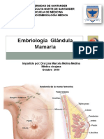 Embriologia Mamaria