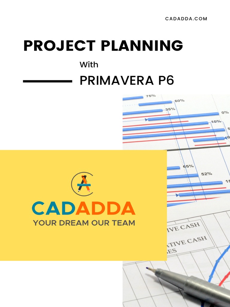 Primavera P6 Schedule | PDF | Computing | Computer Aided Design