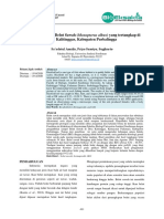 Status Reproduksi Belut Sawah (Monopterus Albus) Yang Tertangkap Di Desa Kalitinggar, Kabupaten Purbalingga