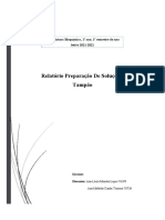 Relatório Soluções Tampão TLB