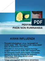 Virus Avian Influenza dan Swine Flu