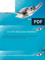 Biologie Marina Prezentare