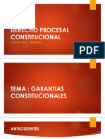 Semaba 2. Garantias Constitucionales