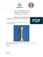 Exercício de Anatomia 03 Uninta PDF