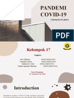 Kelompok 17 - Pandemi Covid - 19