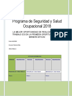 Programa de Seguridad y Salud Ocupacional 2018