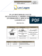 Plan de SST 2021 Los Lagos