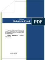 Modelo Relatório Final Enf I