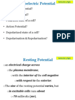 05 - Bioelectric Potential Electrodes