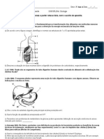 Atividade Sist. Digestório e Muscular