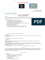 Dokumen - Tips Proiect Tematic Universul 55a2374386de8