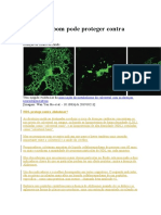 Colesterol Bom Pode Proteger Contra Alzheimer