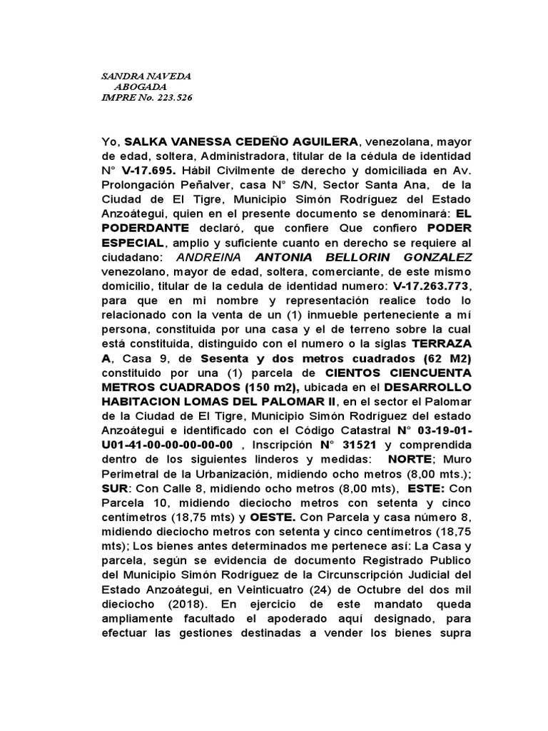 Poder Absoluto Salka | PDF