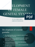Development of Female Genital Tract