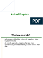 Animalia 2021