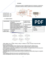 Operatia de Filetare