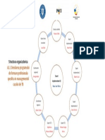 Structura Organizatorica A1.1 - Exp Impl - Alexe M - Radomir L