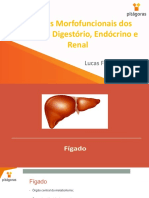 Aula 09 - Anatomia e fisiologia do fígado.