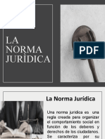 02 - La Norma Juridica y La Norma Fundamental