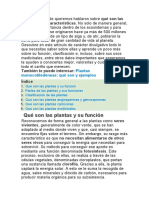 Plantas: qué son, características e importancia