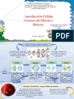 David Biologia Mitosis y Miosis