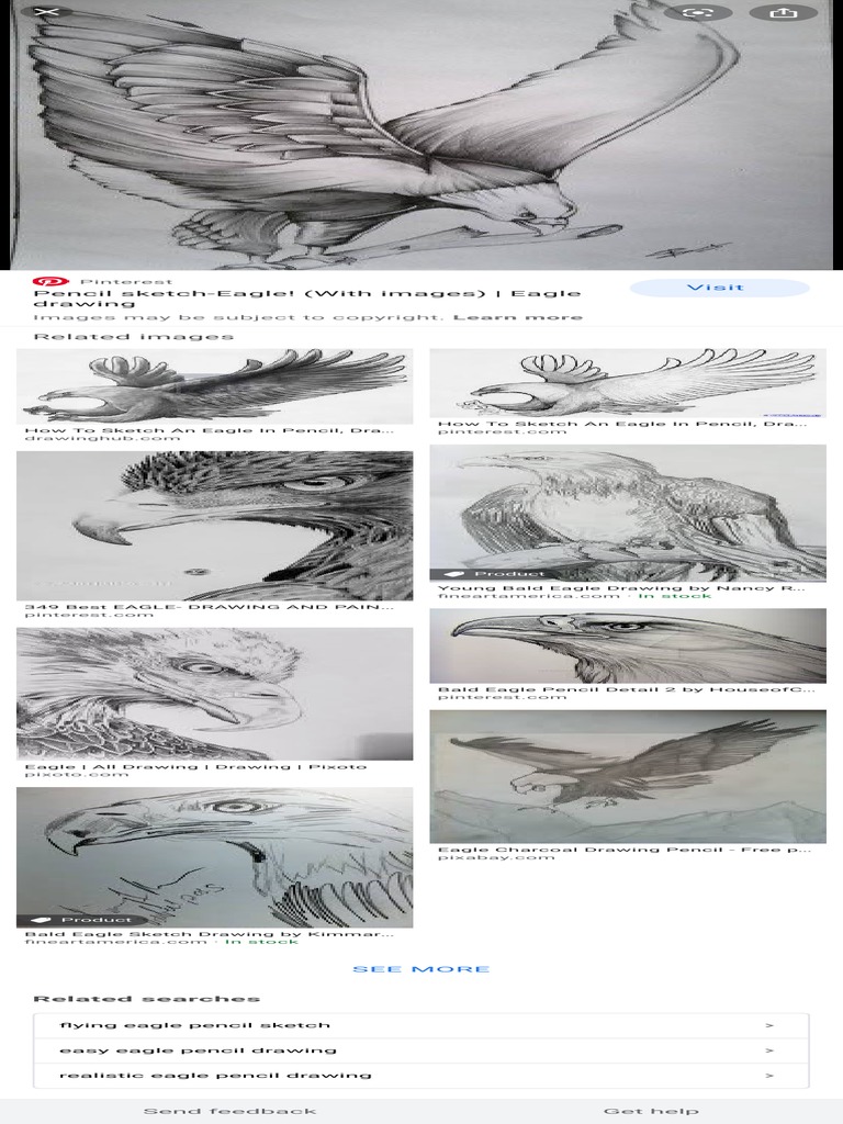 Easy Pencil Eagle Sketch Guide | PDF