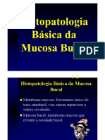 Histopatologia Básica