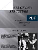 Models of Dna Structures
