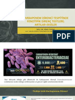 Karbapenem Direnci Tespitinde Fenotipik Direnc Testleri Artilar Ve Eksiler