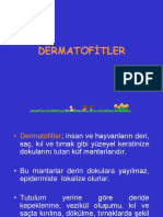 Ders - Dematofitler