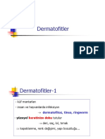 12 Dermatofitler (Uyumluluk Modu) - 127