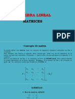 D1 Matrices