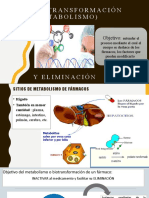 2.4 Biotransformación
