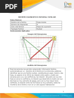 Anexo 4 - Formato Informe Diagnostico Familiar