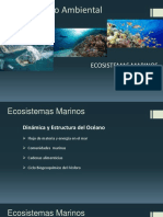 Clase 3, Ecosistemas Marinos 17 04 2022