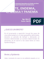 Brote, Endemia, Epidemia Y Panemia: MGTR: Mirla R. Bravo Fernández