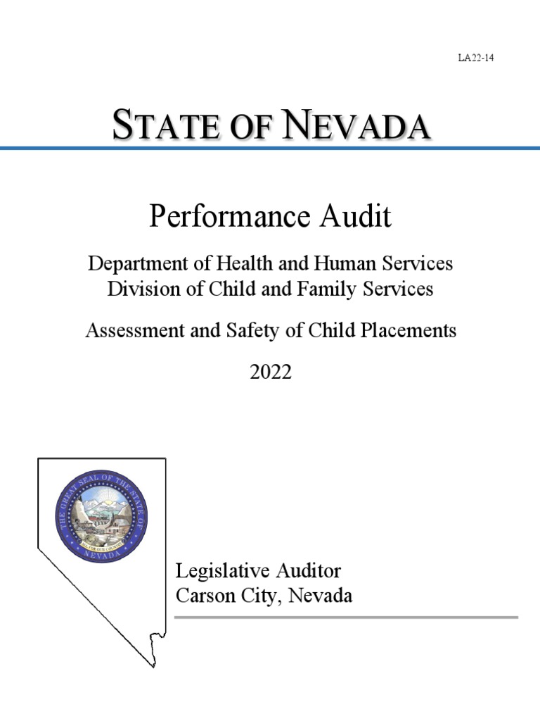 DCFS Assessment and Safety of Child Placements Report PDF Audit