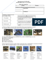 TESTE 5º Ano - 2º Período