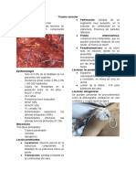 Trauma Vascular Periferico