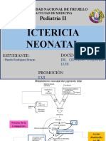 Ictericia Neonatal