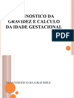 diagnostico da gravidez e IG-1