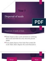 Dispersal of Seeds
