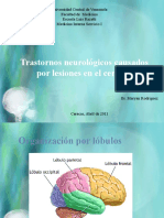 Trastornos Neurológicos Causados Por Lesiones en El Cerebro