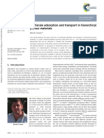 Coasne2016multiscale Adsorption and Transport in Hierarchical