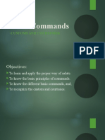 Basic Commands: Customs and Courtesies