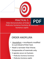 Practical 5: Slide Demonstration of Order Anoplura